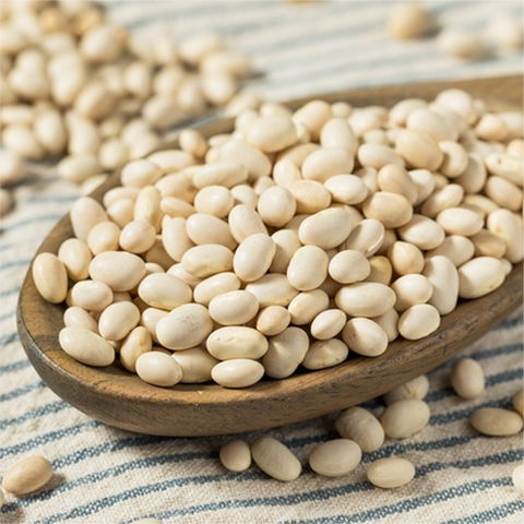 Haricots blancs