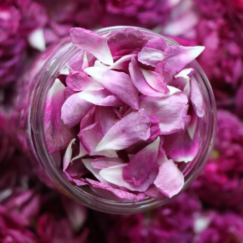 Eau de rose | Terroirs du Liban