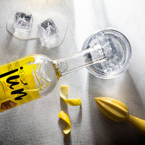 Jun Gins