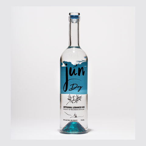 Jun Gins